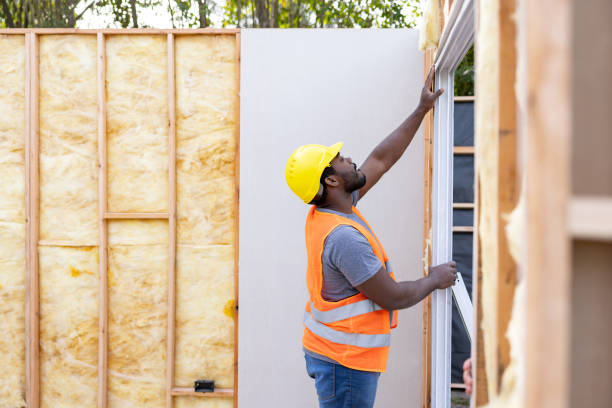 Best Crawl Space Insulation  in Daisetta, TX