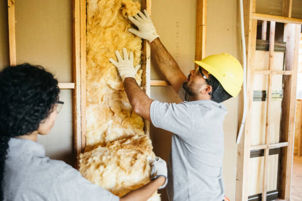 Best Attic Insulation Installation  in Daisetta, TX