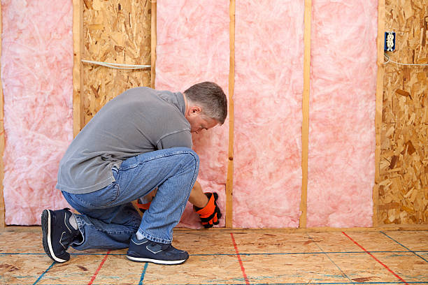 Best Home Insulation Services  in Daisetta, TX
