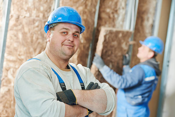 Best Best Insulation Companies  in Daisetta, TX