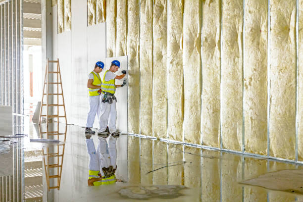 Best Insulation Repair Services  in Daisetta, TX